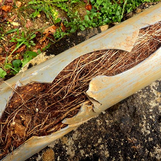 The Drain & Sewer Professionals In Port Adelaide